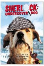 Sherlock Undercover Dog