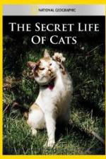 National Geographic The Secret Life of Cats