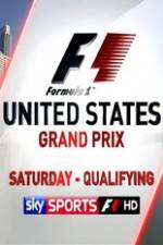 Formula 1 2013 USA Grand Prix Qualifying