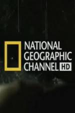 National Geographic Night Stalkers Hyena Gangs