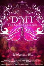 DMT The Spirit Molecule