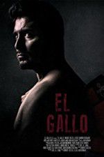 El Gallo