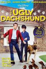 The Ugly Dachshund