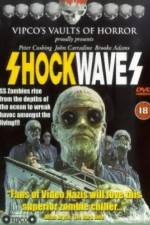 Shock Waves