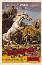 Snowfire