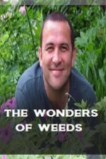 The Wonder Of Weeds