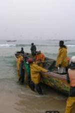 Senegal: Cry Sea