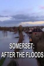 Somerset: After the Floods