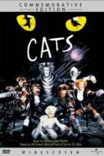 Great Performances Cats