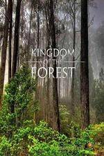 National Geographic Kingdom of the Forest