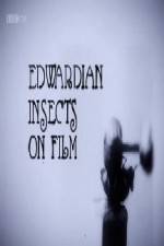 Edwardian Insects on Film