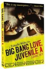 Big Bang Love Juvenile A