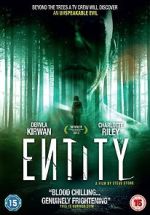 Entity