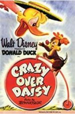 Crazy Over Daisy