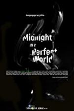 Midnight in a Perfect World