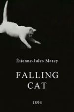 Falling Cat