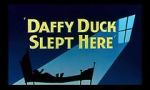 Daffy Duck Slept Here (Short 1948)