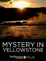 Mystery in Yellowstone