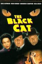 The Black Cat