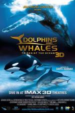 Dolphins and Whales 3D Tribes of the Ocean