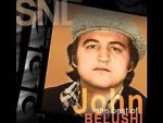 Saturday Night Live: The Best of John Belushi