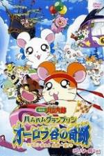 Hamtaro Movie 3: Ham Ham Grand Prix