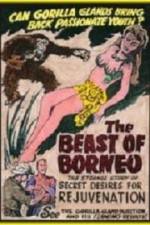 The Beast of Borneo