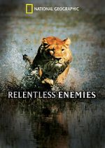 Relentless Enemies