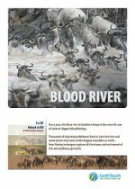 Blood River Crossing