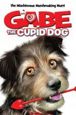 Gabe the Cupid Dog