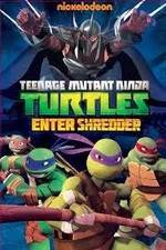 Teenage Mutant Ninja Turtles: Enter Shredder