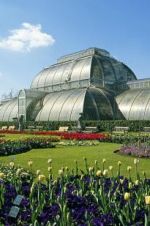 Cruickshank on Kew: The Garden That Changed the World