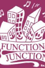 Function at the Junction