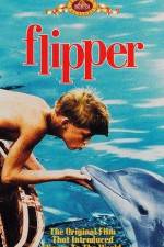 Flipper