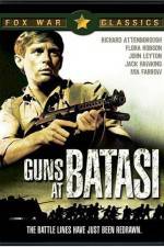 Guns at Batasi