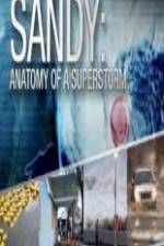 Sandy Anatomy Of A Superstorm