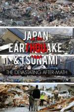 Japan Aftermath of a Disaster