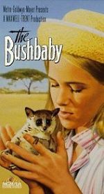 The Bushbaby