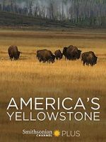 America\'s Yellowstone