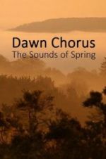 Dawn Chorus: The Sounds of Spring