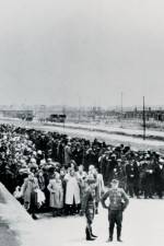 AUSCHWITZ: SURPRISING BEGINNINGS