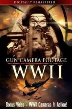 Gun Camera Footage WWII