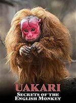 Uakari: Secrets of the English Monkey