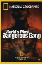 National Geographic World's Most Dangerous Gang