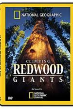 National Geographic Explorer: Climbing Redwood Giants