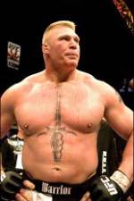 Brock Lesnar 7 Fights