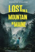 Lost on a Mountain in Maine