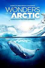 Wonders of the Arctic 3D