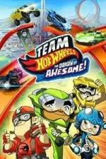 Team Hot Wheels: The Origin of Awesome!