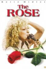 The Rose